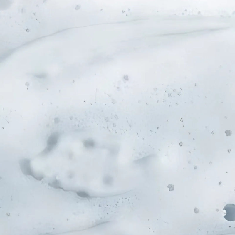 DUŠIGEEL JA ŠAMPOON l KUTSUMUS